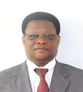 Prof. Ephata E. Kaaya -